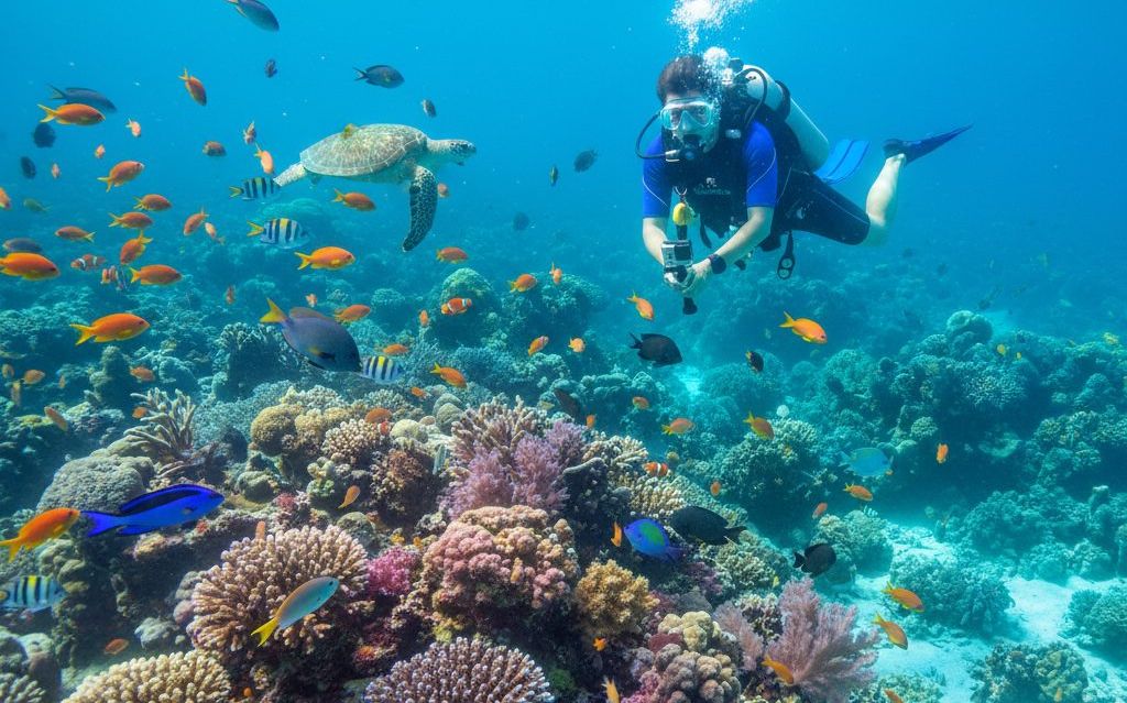 diving courses at Koh Tao